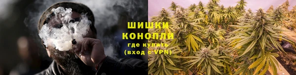 молекула духа Новозыбков