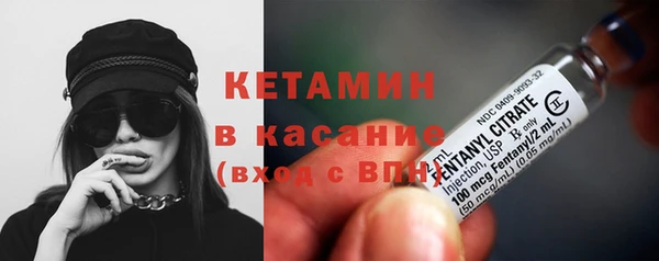молекула духа Новозыбков