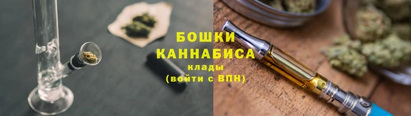крисы Новокубанск