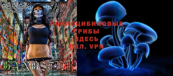 ГАЛЛЮЦИНОГЕННЫЕ ГРИБЫ Нефтекумск