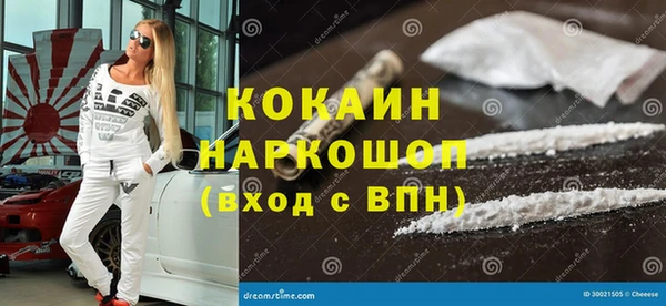 крисы Новокубанск