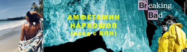 молекула духа Новозыбков